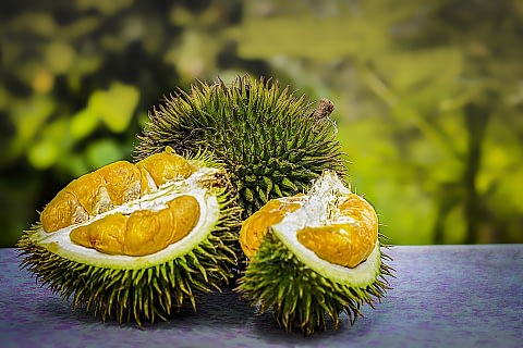 The fruit, native to Malaysia but now common across southeast Asia, owes its smell to 44 compounds such as methanethiol(rotten cabbage) and ethanethiol(onion). three of these had previously never been known in nature until researchers analysed the durian.